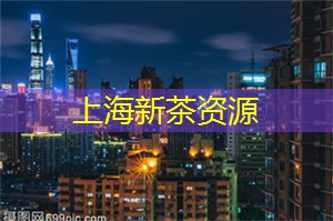 如何在上海享受富有乐趣的集体运动